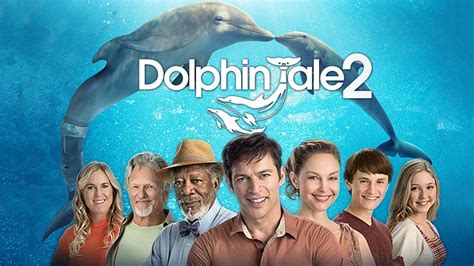 How To Watch Dolphin Tale