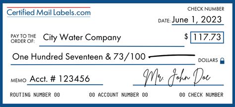 Step-by-Step Guide on How to Properly Write a Check for $20