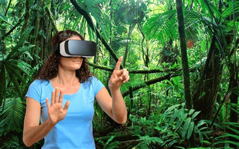 Virtual Reality and Environmental Education Stanford Woods Institute