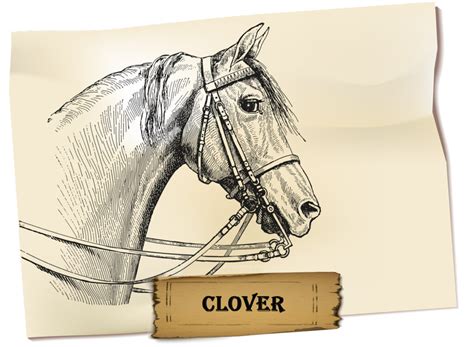 How Would You Describe Clover In Animal Farm
