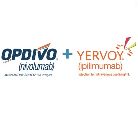 How Yervoy and Opdivo Work Together