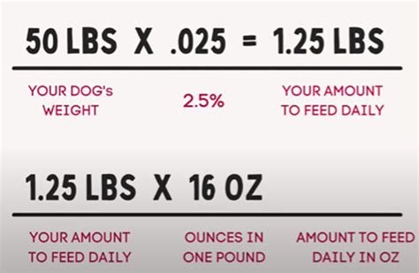 How a Dog Food Quantity Calculator Works