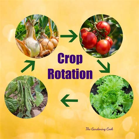 How crop rotation works