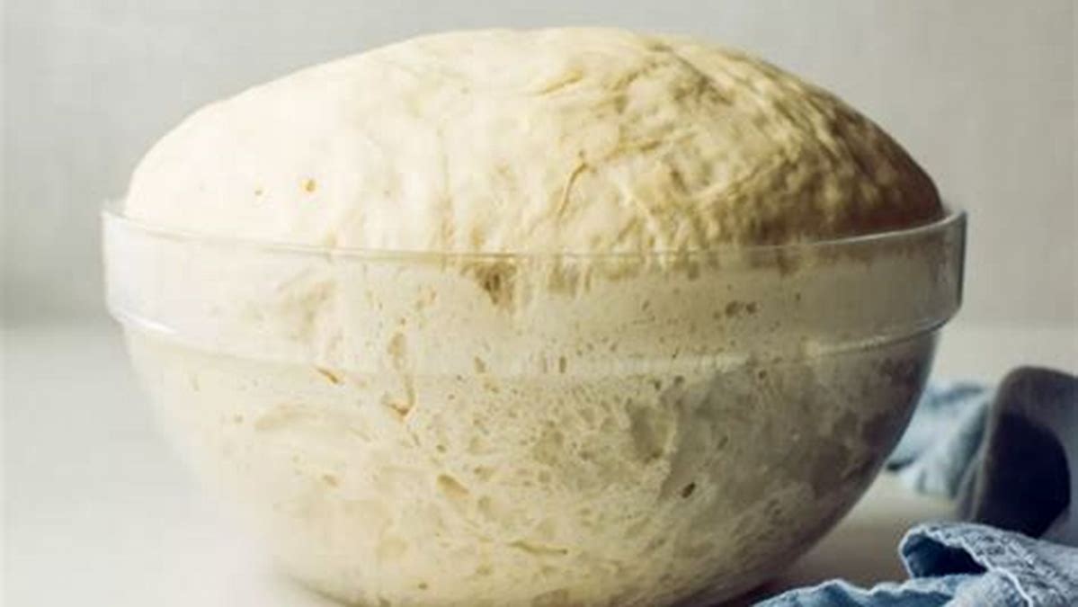 How does yeast make bread dough rise?
