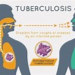How is TB transmitted?