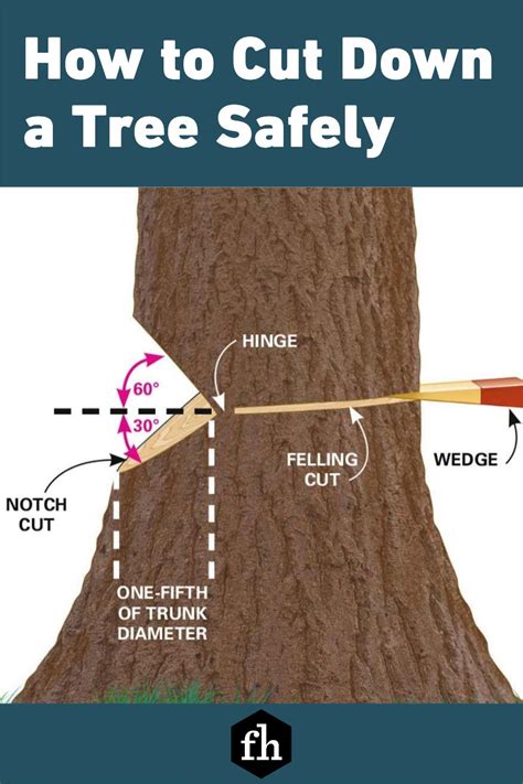 Factors affecting tree felling time