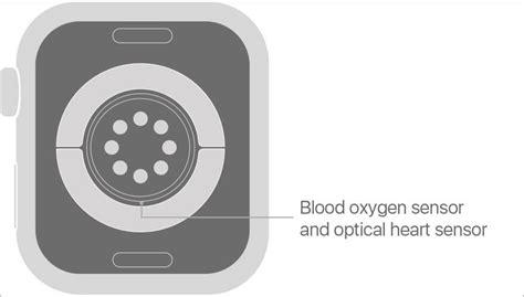How the Blood Oxygen App Works