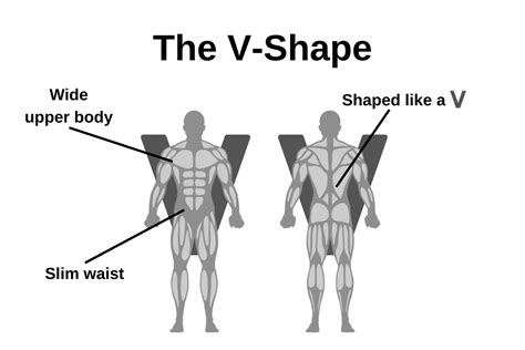 How the V Shape Works