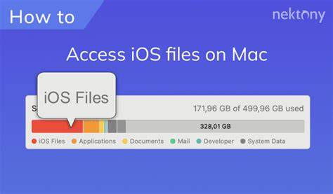 How this differs from other file-access questions on iOS