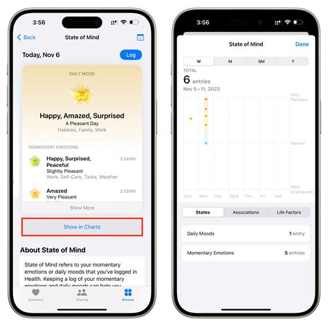 How to Add Mental Wellbeing Data on iPhone