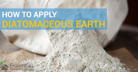 How to Apply Diatomaceous Earth