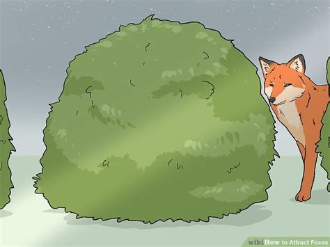 How to Attract a Fox