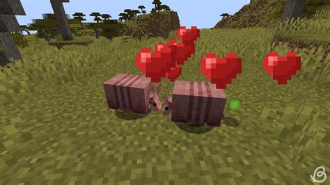 How to Breed Armadillos: A Step-by-Step Process