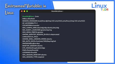 How to Check Environment Variables in Linux