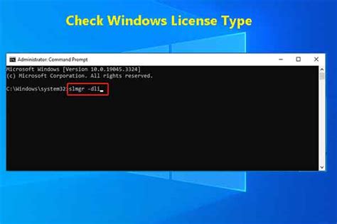 How to Check Office License Type in Windows