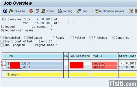 How to Check the Job Overview