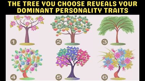 How to Choose the Right Personality Test