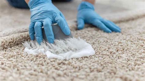 How To Clean Carpet: Simple Steps That Actually Work