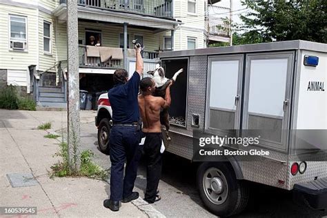 How to Contact Boston Animal Control