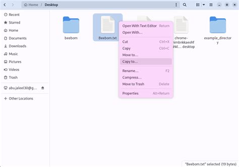 How to Copy Files in Linux using GUI