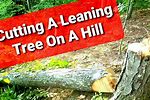 How to Cut a Leaning Tree Stuck in Trees