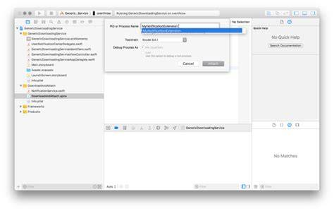 How to debug it in Xcode