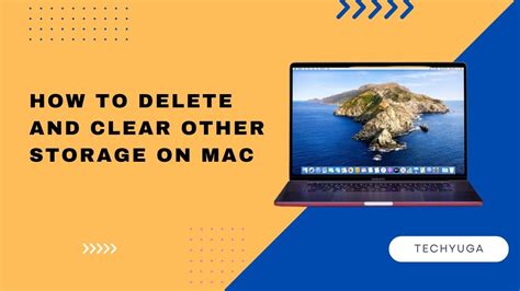 How to Delete Other on Mac Storage