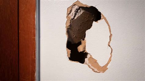 How to Detect Roaches Hidden in Walls