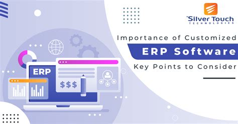 How to Develop Custom ERP Software