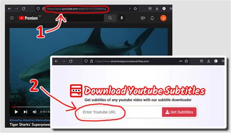 How to Download Subtitles from YouTube