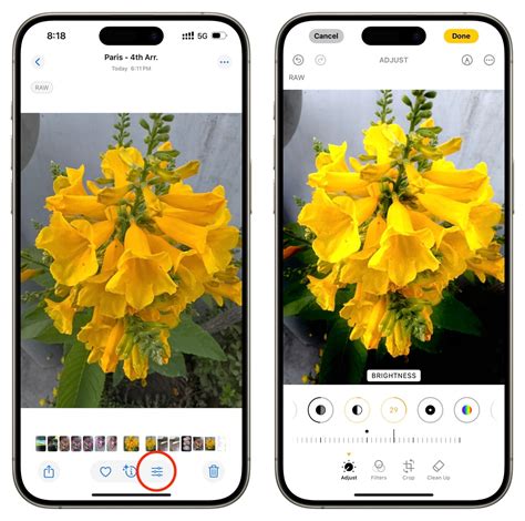 How to Edit RAW Photos on iOS Device