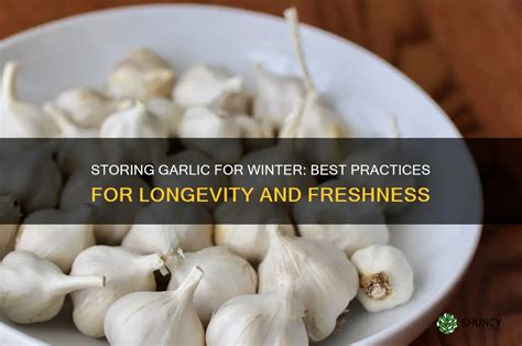 How to Ensure Freshness and Longevity
