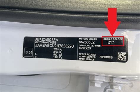 How to Find Your M9A Paint Code Location