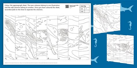 How to Find the Perfect Whale Colouring In Picture
