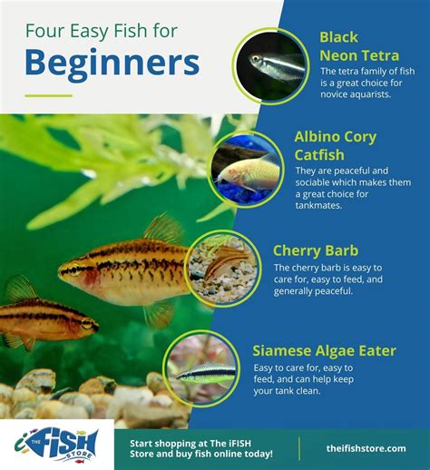 How to Fish for Beginners