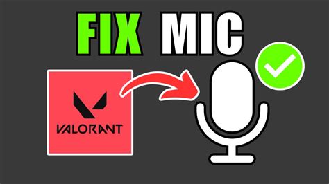 How to Fix Valorant Mic Not Working