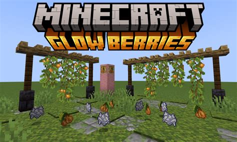 How to Get Glow Berries in Minecraft