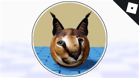 How to Get Round Floppa in Find the Floppa Morphs Roblox 