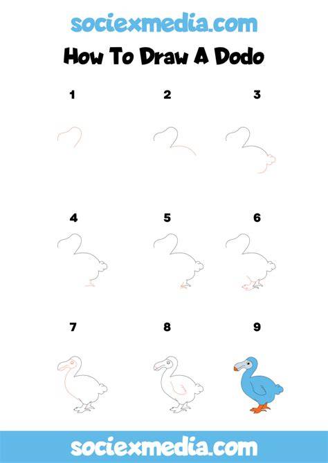 How to Get Started With The Dodo (Step-by-Step)