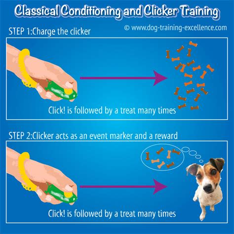 How to Get Started with Clicker Training