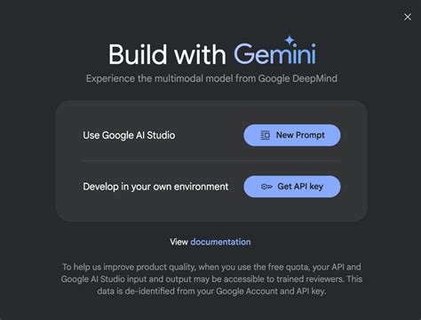How to Get the Gemini Pro API Key