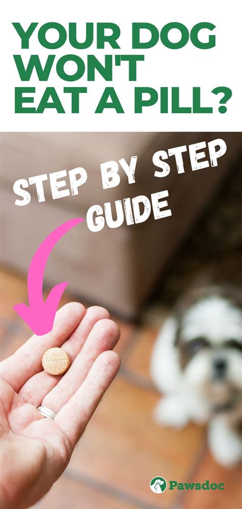 How to Give a Dog a Pill: A Step-By-Step Guide