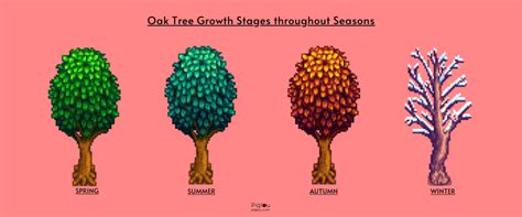 How to Grow Oak Trees in Stardew Valley