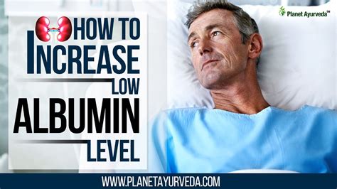 How to Increase Albumin Levels