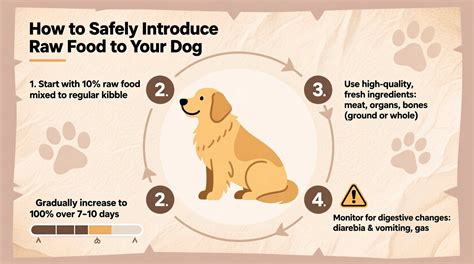 How to Introduce Dog Lab Food Safely