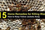 How to Keep Yellow Jackets Away From Your Porch