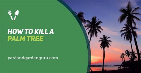 How to Kill a Palm Tree