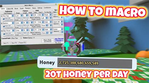 How to Macro in Bee Swarm Simulator with Natro Macro - YouTube