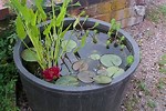 How to Make a Container Pond