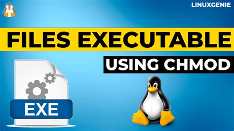How to Make a File Executable Using chmod Command